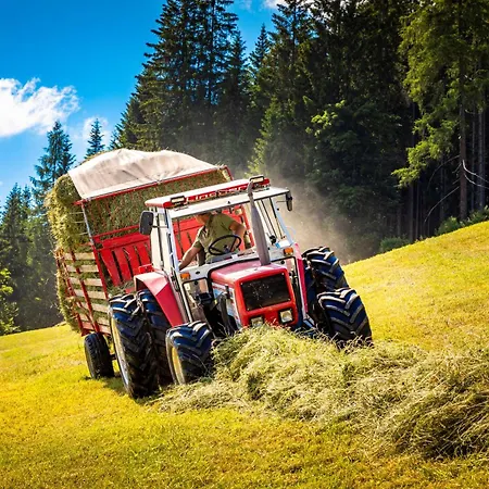 Gschwandtgut Urlaub Am Bauernhof Farma *