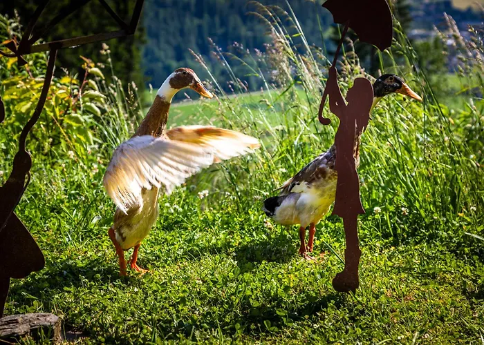 农家乐 Gschwandtgut Urlaub Am Bauernhof Schwemmberg