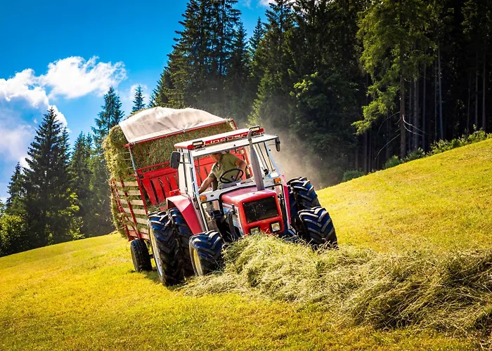 Gschwandtgut Urlaub Am Bauernhof 农家乐 *